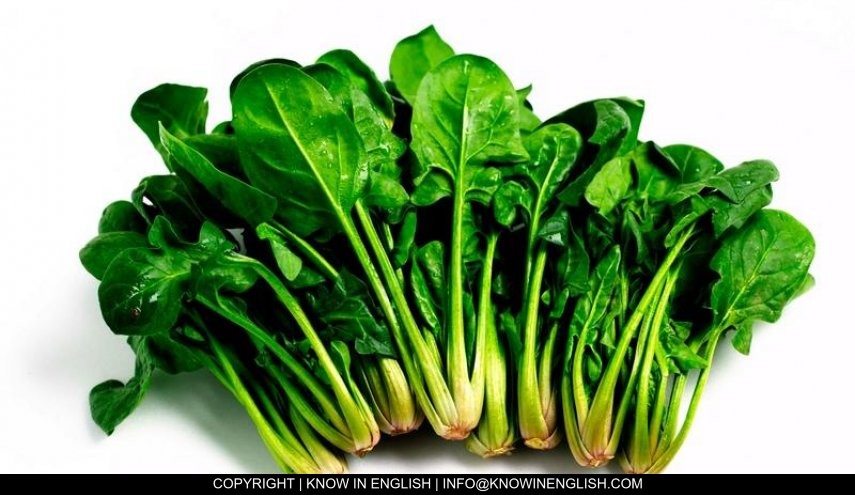 You are currently viewing What are the benefits of spinach?
