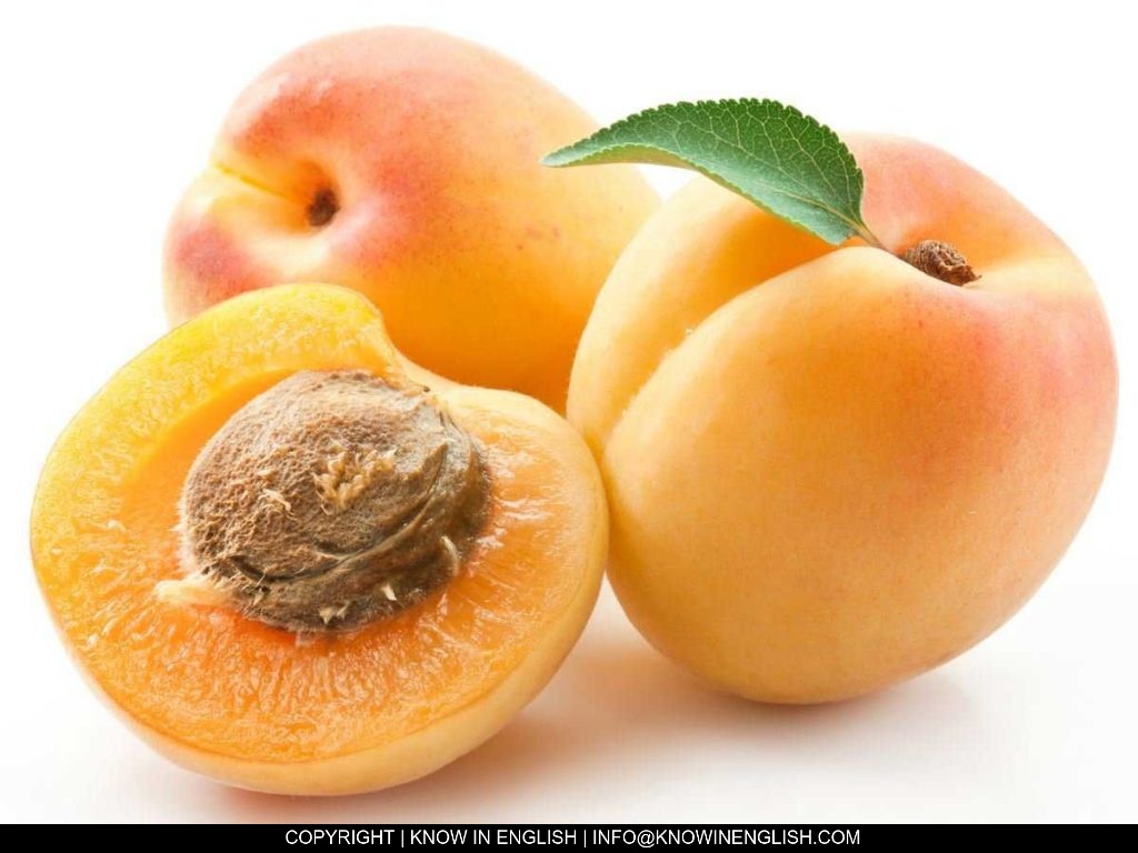 You are currently viewing How to dry Apricots Fruit?